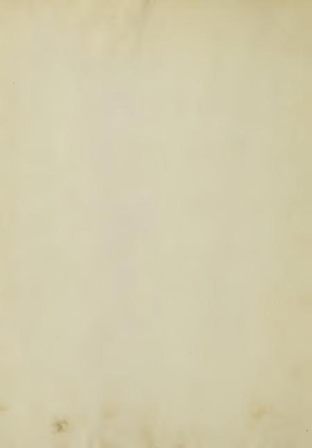 Image of page -3
